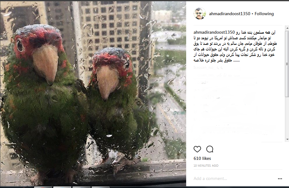 احمد ایراندوست