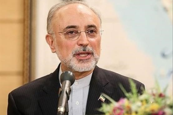 صالحی : رفتار خصمانه آمریکا مغایر با روح و متن برجام است