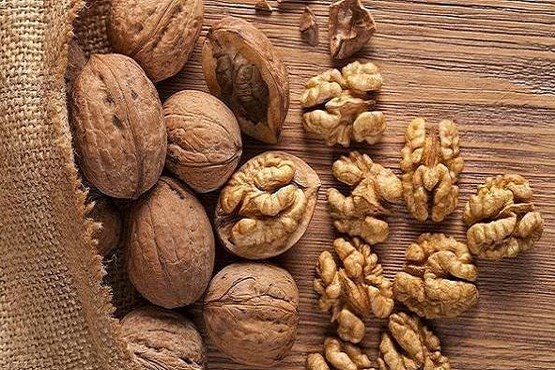 هشدار؛ وجود وبا در آب معدنیهای غیرمجاز/ نکته سلامت؛ ظروف شفاف یک بار مصرف مناسب غذای نذری است/ نگرانیتان درباره ام اس منطقی است؟ هشدار؛ وجود وبا در آب معدنیهای غیرمجاز/ نکته سلامت؛ ظروف شفاف یک بار مصرف مناسب غذای نذری است/ نگرانیتان درباره ام اس منطقی است؟