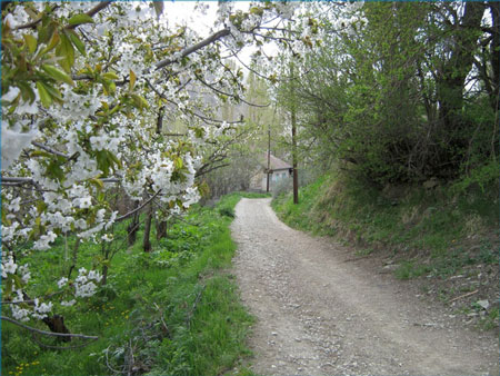 برگ جهان، روستایی زیبا مناسب برای گردشگری پاییزی+تصاویر برگ جهان، روستایی زیبا مناسب برای گردشگری پاییزی+تصاویر