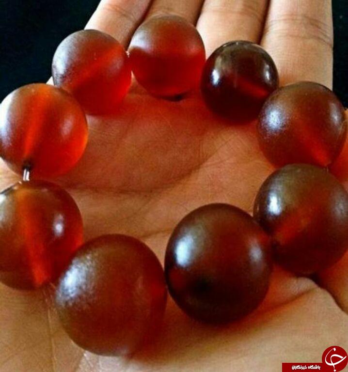 سرنوشت شوم فیل های آسیایی +تصاویر سرنوشت شوم فیل های آسیایی +تصاویر