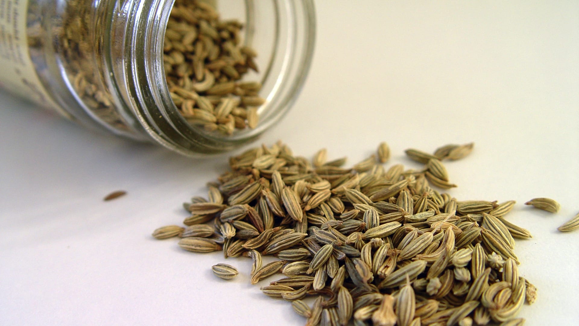 رازیانه چه خواصی دارد؟ رازیانه چه خواصی دارد؟