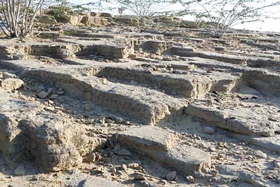 گردشگری وحشت! +عکس گردشگری وحشت! +عکس