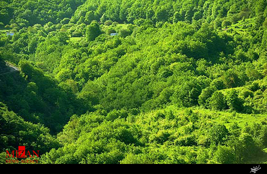 آغاز ارزیابی جنگل‌ های ارسباران برای ثبت جهانی