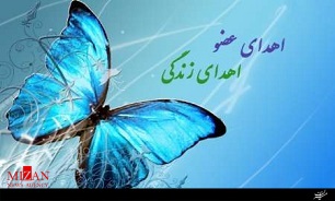 راه اندازی واحد شناسایی مرگ مغزی در کشور
