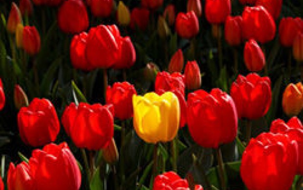 دیدار دوباره مادر با فرزند پس از ۲۹ سال