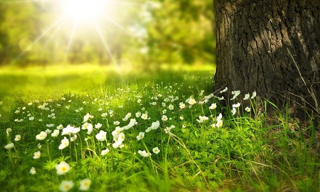 مهمترین جمله ای که اول صبح باید با آن مبارزه کرد