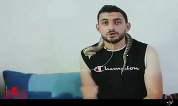 حمله هولناک افعی به یک کارشناس در برنامه زنده + فیلم حمله هولناک افعی به یک کارشناس در برنامه زنده