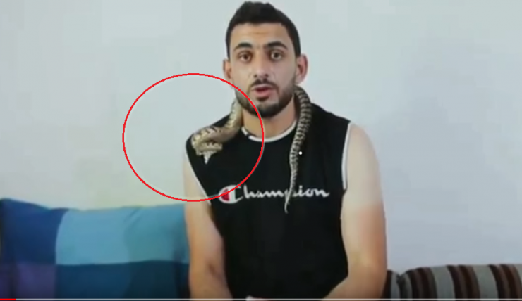 حمله افعی به یک کارشناس در برنامه زنده +عکس حمله افعی به یک کارشناس در برنامه زنده +عکس
