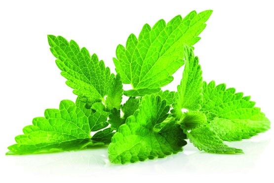 خواص شگفت آور این سبزی یک عمر سلامت زندگی کنید