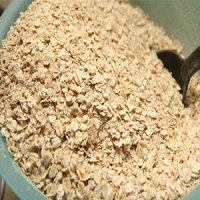 ۸ غذای غنی از زینک برای پیشگیری از سرماخوردگی و آنفلوآنزا