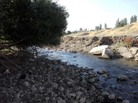 طبیعتی که بی‎گناه می‎میرد/ مرز عاشقی در سیستان و بلوچستان/ بازار داغ غذای ارزان‌قیمت در کرمانشاه