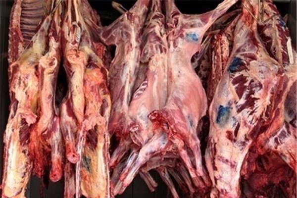 بازار گوشت قرمز آرام است/ مشکلی برای تامین دام برای مراسم اربعین نداریم