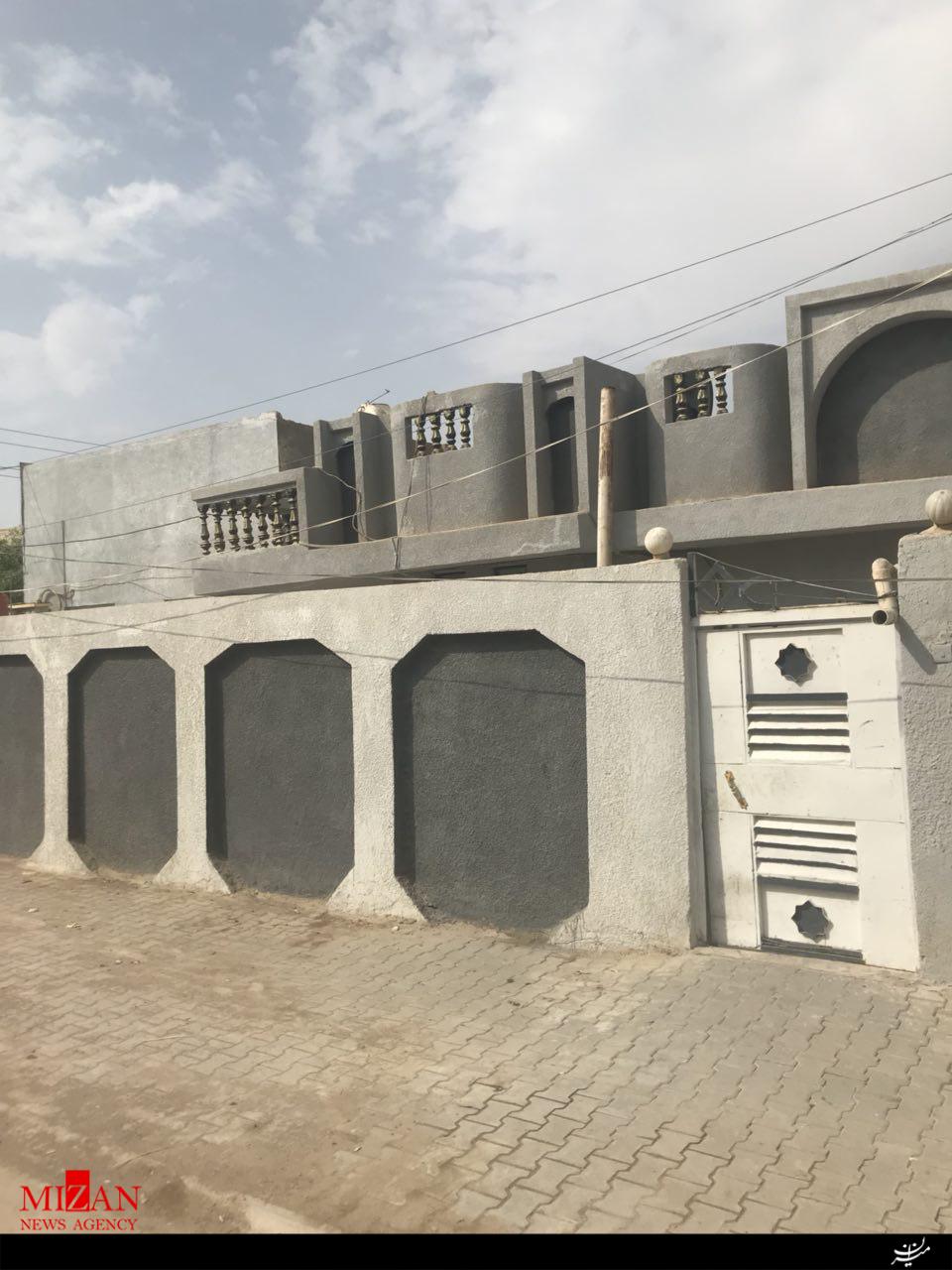 طاها فرد