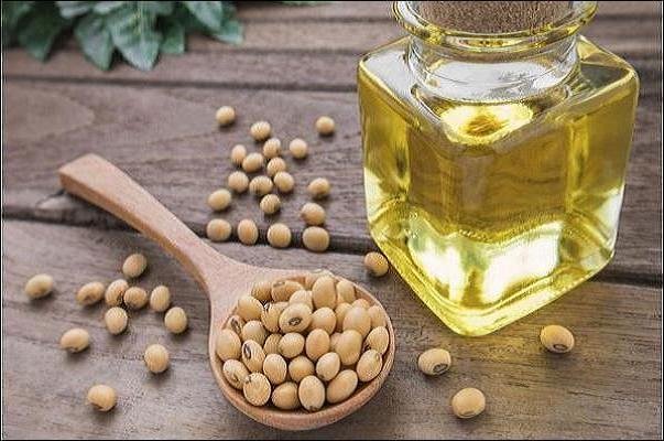 هشدار؛ مقابل تلویزیون غذا نخورید/ آلزایمر از مغز شروع نمی‌شود/ تاثیر شیر برای دفع آلودگی هوا