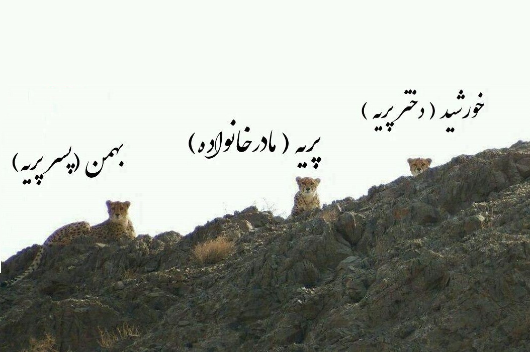 خورشید، پریه، بهمن خورشید، پریه، بهمن