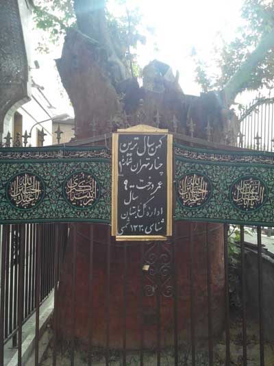 دغدغه جدید پولدارهای تهرانی سوژه رسانههای روسی!/ کهنسالترین تهرانی/ کشف دندانهای قدیمیترین اجداد انسان دغدغه جدید پولدارهای تهرانی سوژه رسانههای روسی!/ کهنسالترین تهرانی/ کشف دندانهای قدیمیترین اجداد انسان