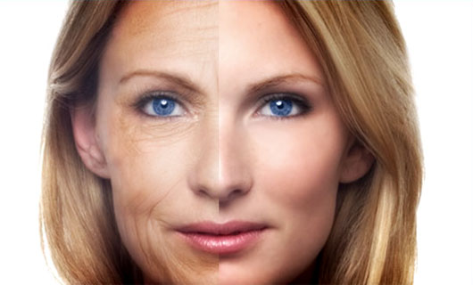 برای پیر نشدن قارچ بخورید برای پیر نشدن قارچ بخورید
