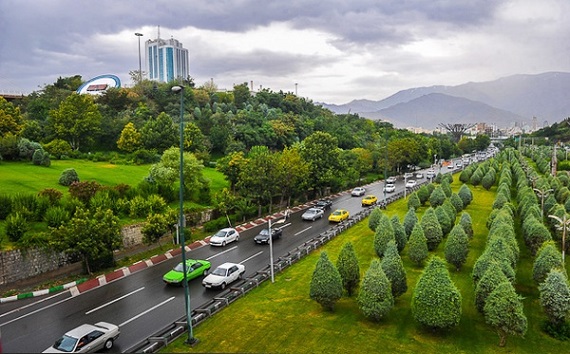 باید با کاشت نهال و افزایش فضای سبز به داد محیط زیست رسید
