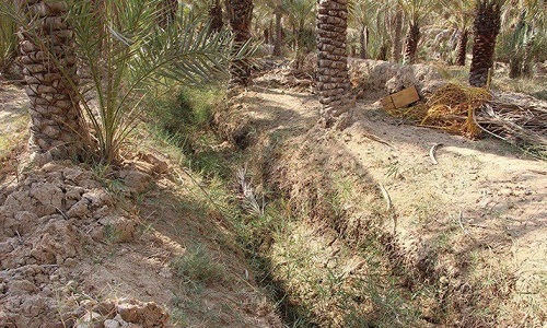 همدردی گردشگران سوئیسی با زلزلهزدگان کرمانشاه/ گلوی تشنه نخلستانهای شادگان در انتظار آب/ رایزنی برای راه اندازی کنسولگری عمان درچابهار همدردی گردشگران سوئیسی با زلزلهزدگان کرمانشاه/ گلوی تشنه نخلستانهای شادگان در انتظار آب/ رایزنی برای راه اندازی کنسولگری عمان درچابهار