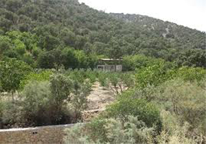 آزادسازی ۴۰ هکتار از زمین‌های دولتی از دست زمین خواران
