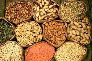 خوردن روزانه این 9 مغز اجباری است خوردن روزانه این 9 مغز اجباری است