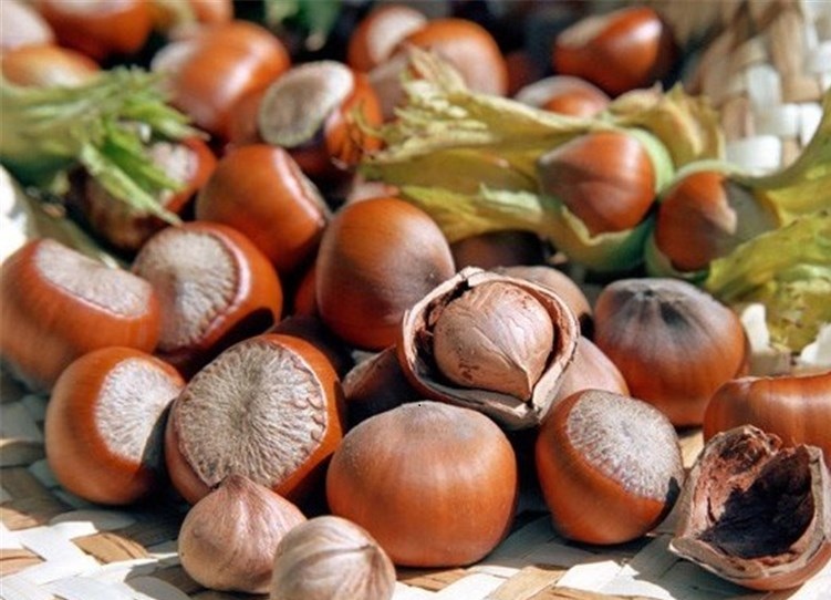 7 دلیل برای خوردن فندوق