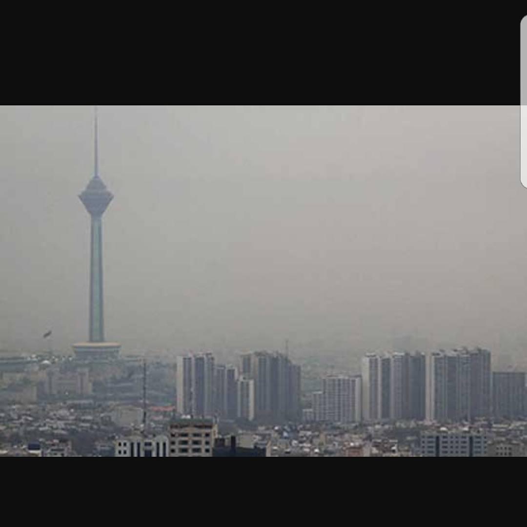 محسن کیایی
