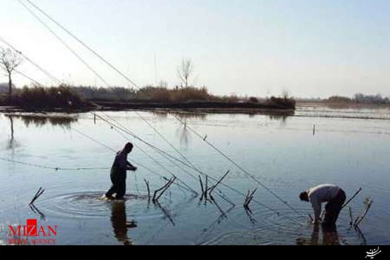 برخورد با صیادان غیر مجاز فریدونکنار