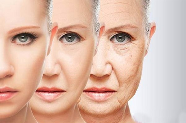 این غذاها چین و چروک صورت را از بین می برند