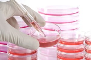 طراحی برنامه کامپیوتری برای درمان سرطان