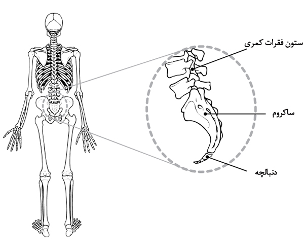 علت درد دنبالچه بعد از زایمان چیست؟ علت درد دنبالچه بعد از زایمان چیست؟