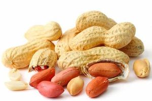 بادام زمینی به حفظ چاپکی مغز کمک می‌کند