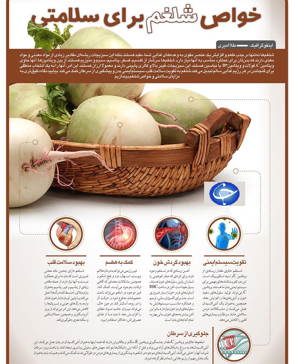 خواص شلغم +اینفوگرافی خواص شلغم +اینفوگرافی