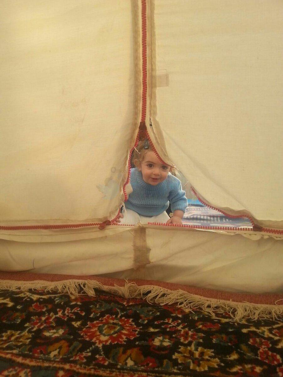 ۱۶۳ میلیارد دلار در یک تصویر!/ تعمدی در بالا بردن نرخ ارز وجود ندارد؟/ میانه وعده‌ای برای تمام وصول