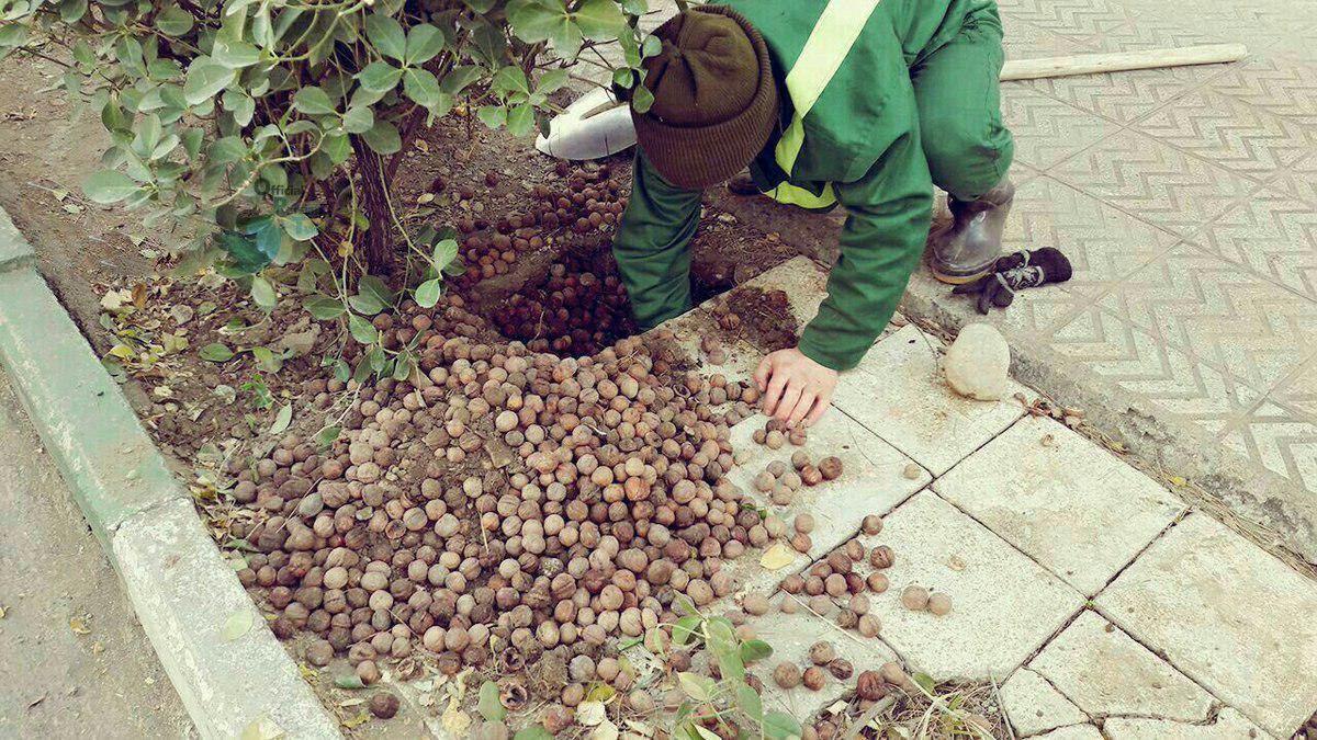 ۱۶۳ میلیارد دلار در یک تصویر!/ تعمدی در بالا بردن نرخ ارز وجود ندارد؟/ میانه وعده‌ای برای تمام وصول