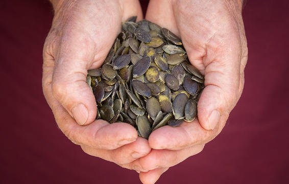 ۱۰ ماده غذایی که باعث افزایش هوش میشوند ۱۰ ماده غذایی که باعث افزایش هوش میشوند