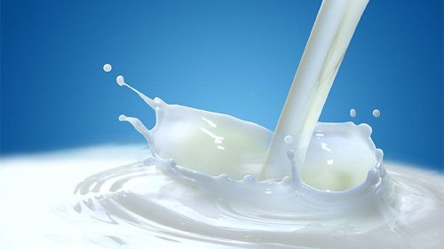 افراد دارای سنگ کلیه شیر بخورند