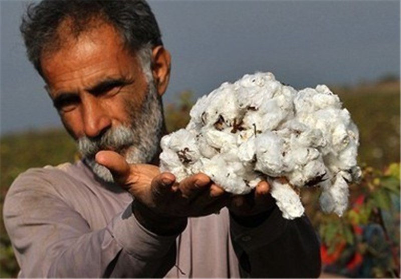 فلز اروپایی که در ایران «زر» میشود/ آلودگی آب حیات وحش زنجان را تهدید میکند/ وقتی طلای سفید خراسان شمالی «عیار» گذشته را ندارد فلز اروپایی که در ایران «زر» میشود/ آلودگی آب حیات وحش زنجان را تهدید میکند/ وقتی طلای سفید خراسان شمالی «عیار» گذشته را ندارد