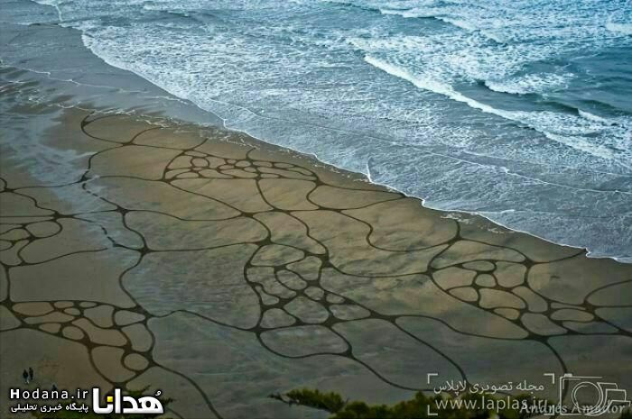 نقش هنر در سواحل آمریکا+ عکس
