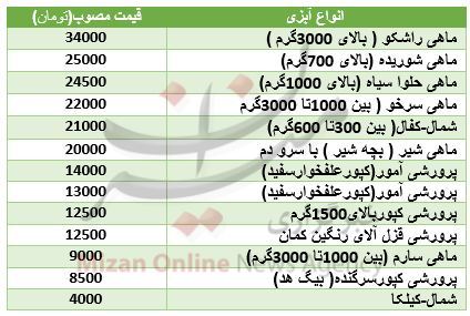 قیمت انواع ماهی در میادین+ جدول