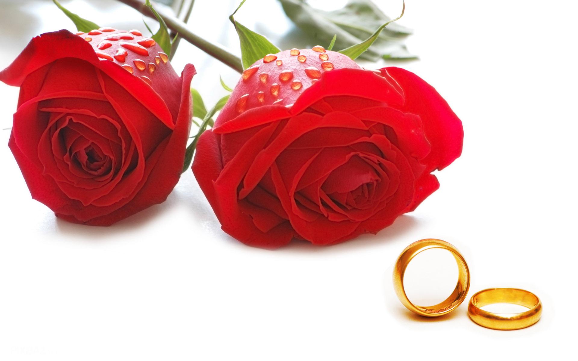 نکات ضروری که برای تداوم زندگی مشترک باید رعایت کنید