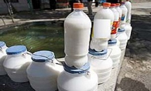 تکذیب واردات دوغ از گمرک گناوه