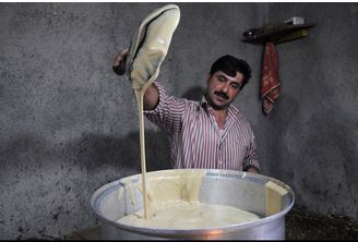 طلای سرخ مازندران ناشناخته مانده است