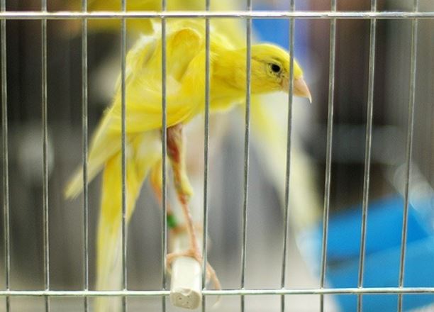 شغل عجیب یک تحصیلکرده سینما