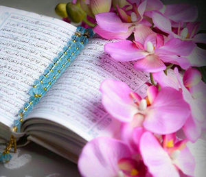 سخن امام صادق(ع) درباره رأس همه خوبی‌ها