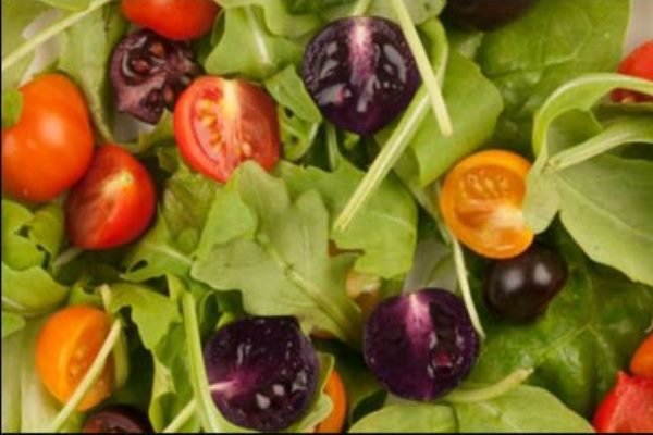 تولید گوجه فرنگی تراریخته در چین