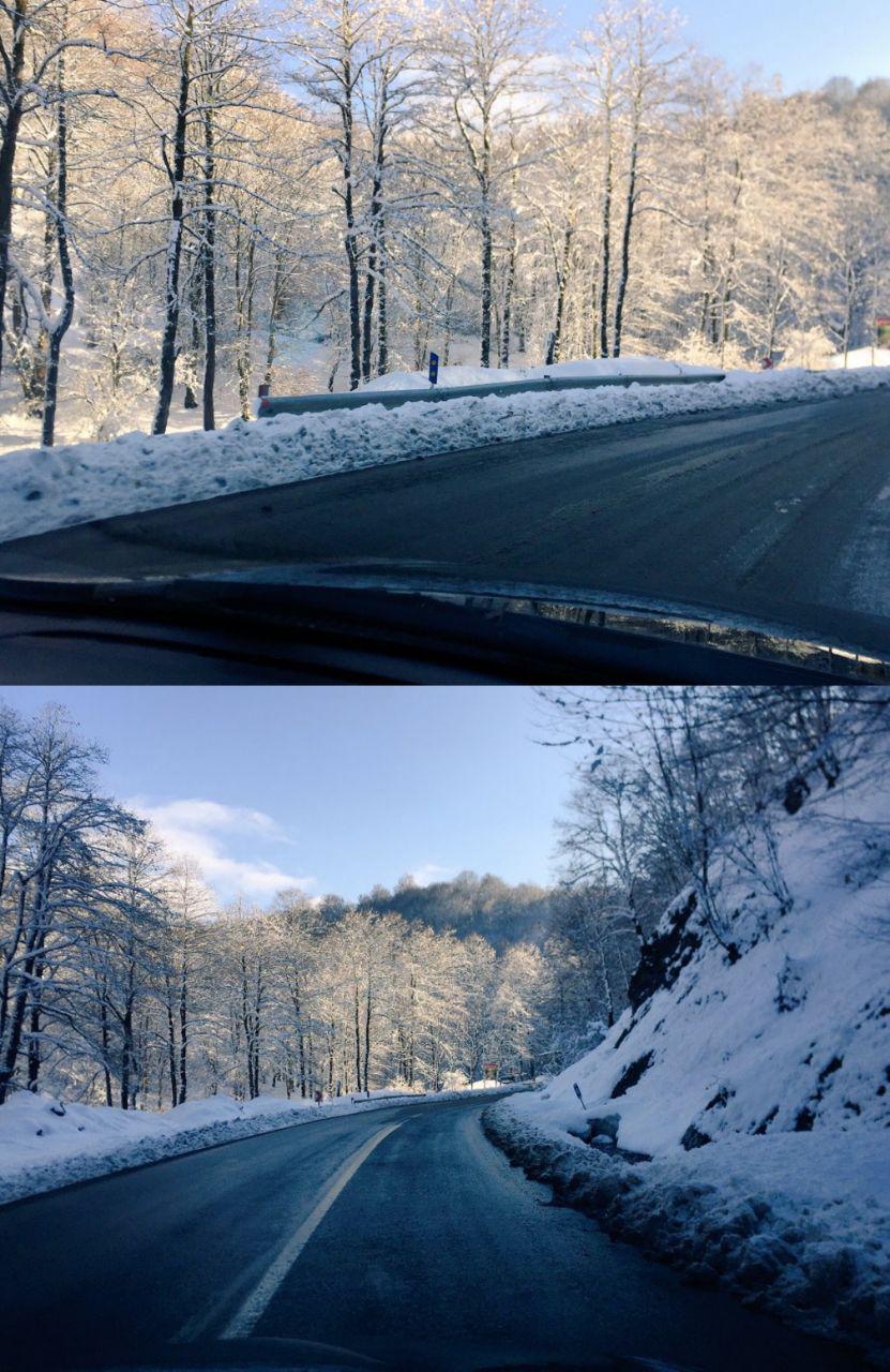 کاربران