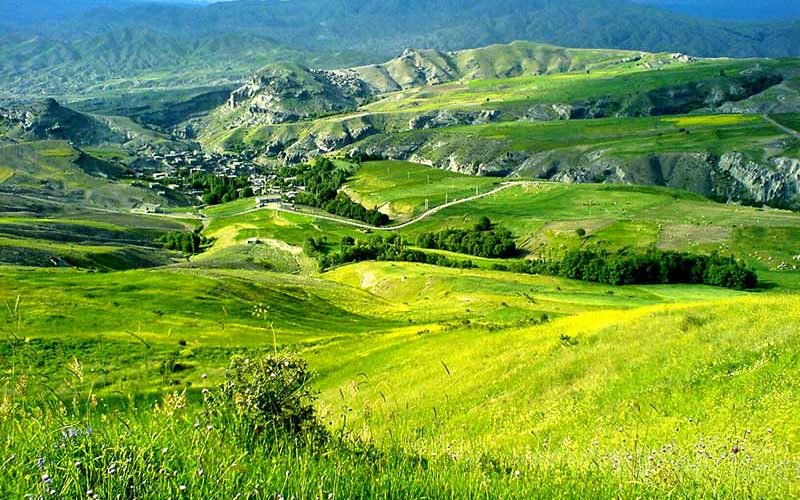 طبیعتی به رویایی جنگل فندقلو+تصاویر