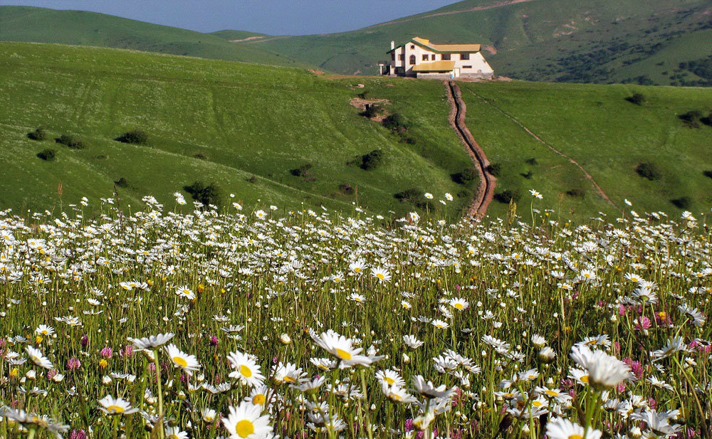 طبیعتی به رویایی جنگل فندقلو+تصاویر